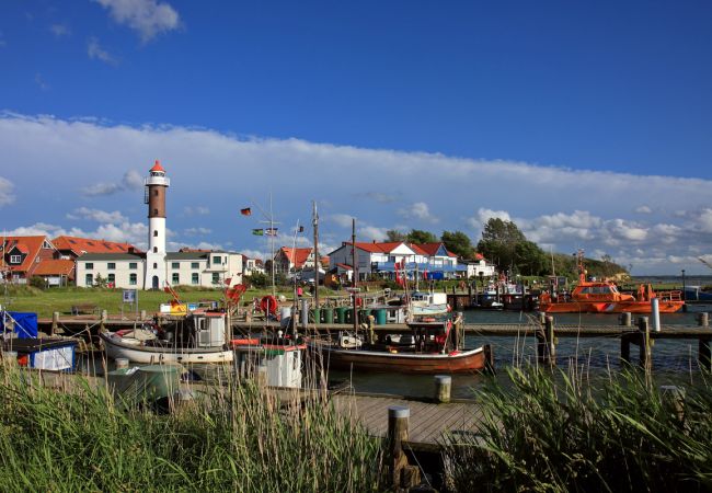 Weihnachten auf der Ostseeinsel Poel